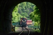 ◎WEB予約でリボンポイント2ポイント◎【岐阜・うずら・羽島発】*日帰り昼食付*『京都 新緑の嵯峨野トロッコ列車と嵐山ごちそうビュッフェ』3